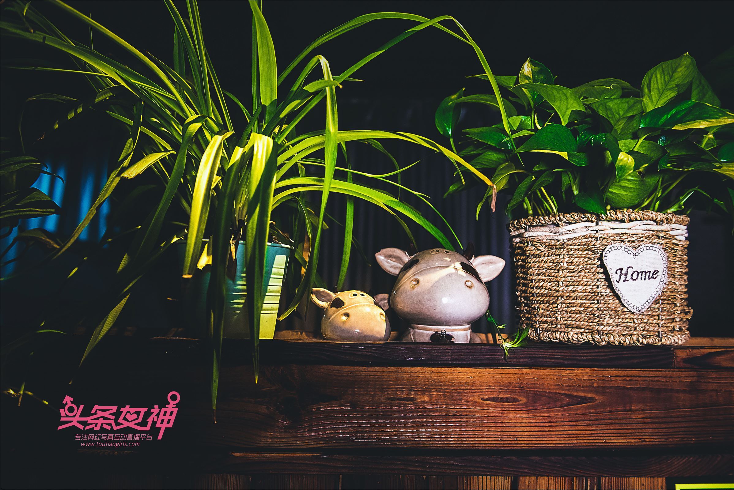 [TouTiao头条女神]2018.05.08 大晗